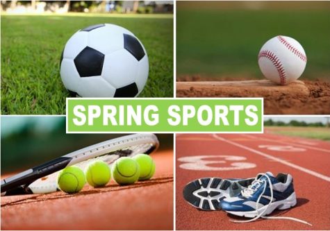 Q & A with Spring Sports